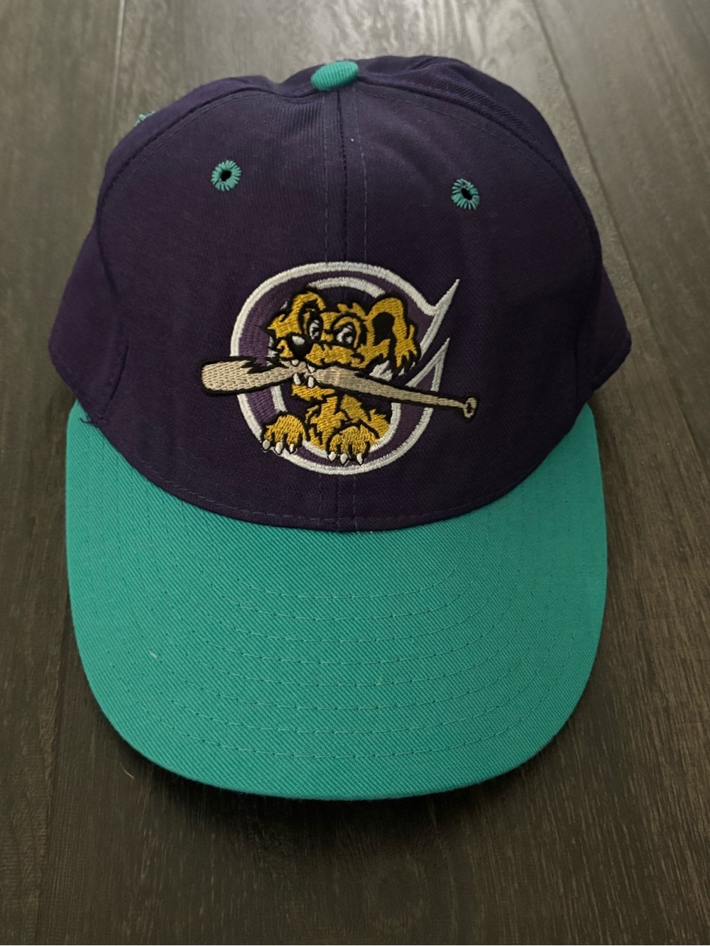 Vintage Charleston RiverDogs Pro Line Fitted 6 3/4 Hat Cap Texas Rangers MiLB